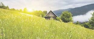 Les Veillées des Chaumières 3671 Dans la lumière des cimes