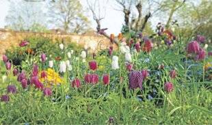 Les Veillées des Chaumières 3671 Une drôle de fleur à carreaux
