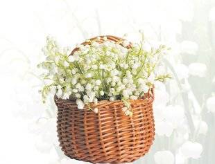 Les Veillées des Chaumières 3673 Le muguet