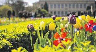 Les Veillées des Chaumières 3676 Le Jardin des Plantes fête ses 400 ans