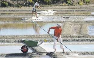 Les Veillées des Chaumières 3676 Paludier, le cultivateur d'eau de mer