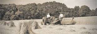 Les Veillées des Chaumières 3679 Moissons amères