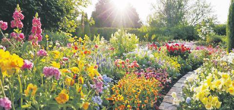 Les Veillées des Chaumières 3680 Le jardin de madame Moreau