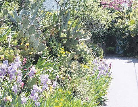 Les Veillées des Chaumières 3680 Le jardin de Bésignoles Un jardin de poche
