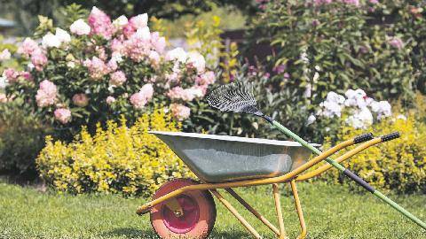 Les Veillées des Chaumières 3682 La brouette, un outil de jardin qui sert à tous les râteliers