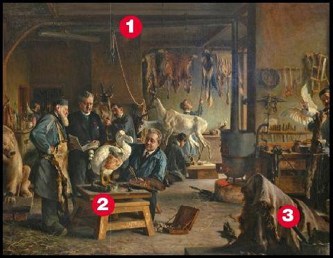 Les Veillées des Chaumières 3683 Reconstitution du dronte au Muséum, Laboratoire de taxidermie – Henri Coëylas