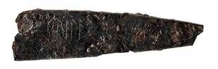 Guerres & Histoire 78 LES RUNES SUR CE COUTEAU SCANDINAVE ONT PRESQUE 2 000 ANS