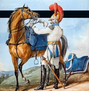 Guerres & Histoire 87 EST-IL VRAI QU'À WATERLOO, UN OFFICIER FRANÇAIS A DÉSERTÉ JUSTE AVANT L'ATTAQUE DE LA GARDE IMPÉRIALE POUR AVERTIR WELLINGTON ET LUI PERMETTRE DE PRÉPARER SES BATAILLONS À RECEVOIR L'OFFENSIVE ?