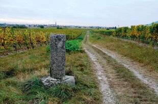 Guerres & Histoire 88 L'atlas « Itiner-e » retrace près de 300 000 km de routes romaines