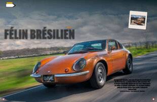 Auto Plus Classiques 80 FÉLIN BRÉSILIEN