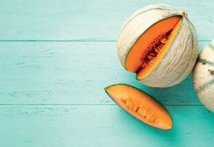 Gourmand 507 Le melon