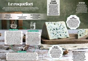 Gourmand 509 Le roquefort