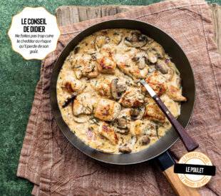 Gourmand 511 POULET SAUTÉ, SAUCE AU CHEDDAR