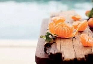 Gourmand 513 La clémentine