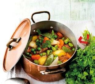 Gourmand 518 NAVARIN D'AGNEAU PRINTANIER