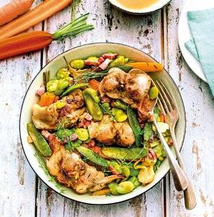 Gourmand 518 LAPIN AUX LÉGUMES NOUVEAUX