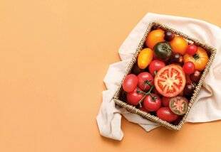 Gourmand 519 La tomate