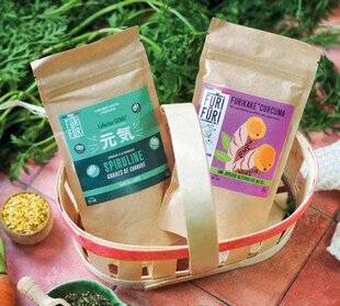 Gourmand 520 UNE ALTERNATIVE AU SEL FURIEUSEMENT BONNE POUR LA SANTÉ