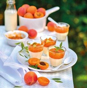 Gourmand 520 Pannacotta à la verveine, coulis d'abricot