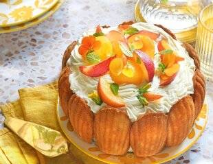 Gourmand 521 MADELEINES