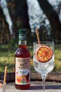 Gourmand 521 Le sirop bien plus que du sucre !