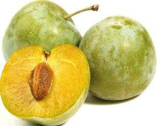 Gourmand 522 la grande famille des prunes