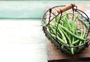 Gourmand 522 Les haricots verts