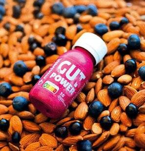 Gourmand 523 On chouchoute son microbiote