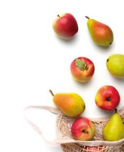 Gourmand 524 elles font la paire