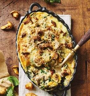 Gourmand 526 GRATIN DE GIROLLES