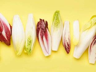 Gourmand 526 L'endive