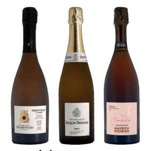 Gourmand 526 JE CÉLÈBRE LE TERROIR