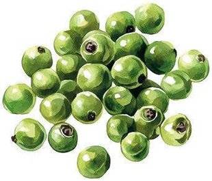 Gourmand 528 Les viandes à toutes les sauces