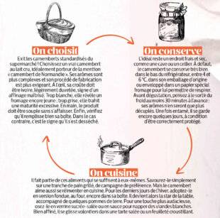 Gourmand 529 Le camembert