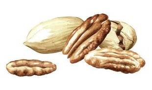 Gourmand 529 Croquez la gourmandise