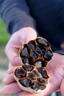 Gourmand 530 L'AIL NOIR, TRÉSOR D'EXCEPTION DU GERS