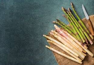 Gourmand 530 L'asperge