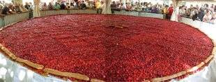 Gourmand 531 Ramène ta fraise… en Dordogne !