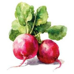 Gourmand 531 On en fait toute une salade !