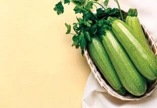 Gourmand 531 La courgette