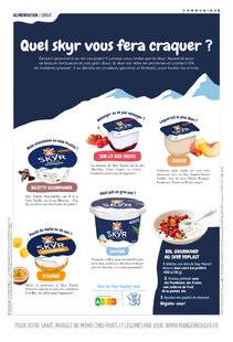 Gourmand 532 SKYR YOPLAIT