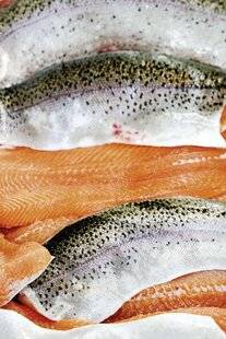 Gourmand 532 LA TRUITE DANS TOUS SES ÉTATS