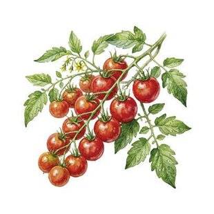 Gourmand 532 AVEC LES CLAFOUTIS, TOUT EST PERMIS !