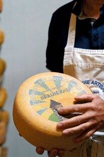 Gourmand 533 LE GOUDA IL EST AUSSI FRANÇAIS !