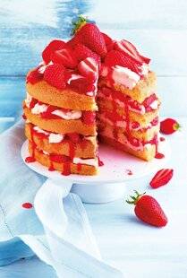 Gourmand 533 FRAISIER