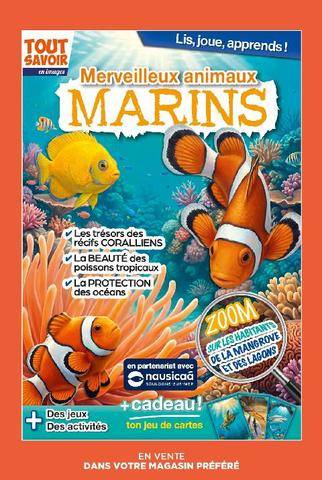 Gourmand 534 
