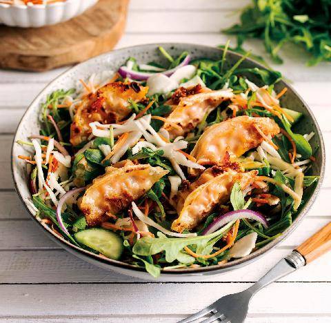 Gourmand 534 SALADE DE GYOZAS
