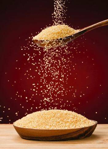 Gourmand 535 FACILE, RAPIDE… et toujours gourmande !