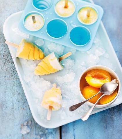 Gourmand 535 Glace au fromage blanc et aux abricots