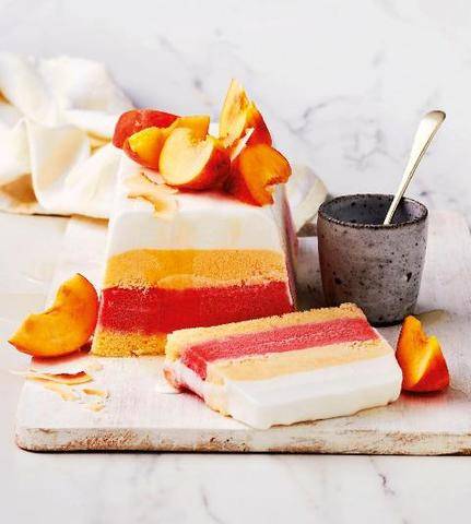 Gourmand 535 Cake glacé facile aux fruits d’été